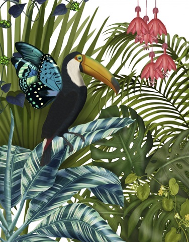 Toucan in Tropical Forest