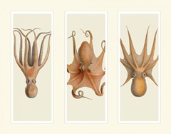 Trio of Octopus on 3 Panels