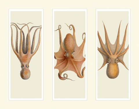 Trio of Octopus on 3 Panels