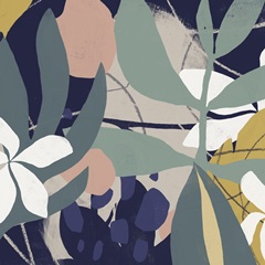 Tropical Attraction I