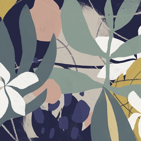 Tropical Attraction I