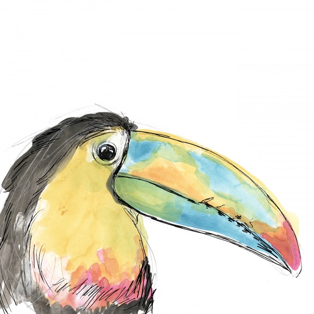 Tropical Bird Portrait II