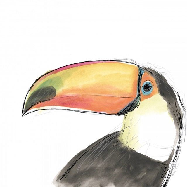 Tropical Bird Portrait III