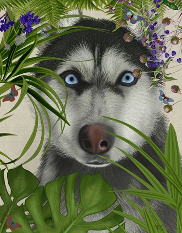 Tropical Husky