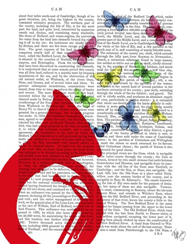 Tuba with Butterflies