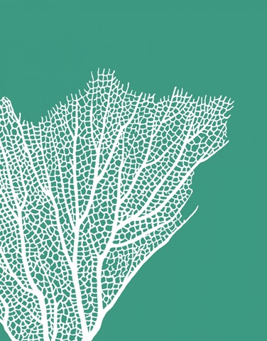 Turquoise Coral Prints c