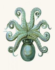 Turquoise Octopus and Squid c