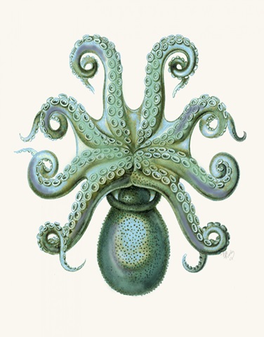 Turquoise Octopus and Squid c