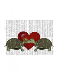 Turtle Kiss
