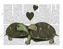 Turtles and Green Hearts