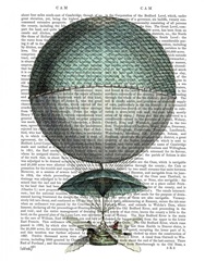 Vaisseau Volant Hot Air Balloon