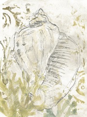 Verdant Shell Fresco I