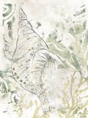 Verdant Shell Fresco II