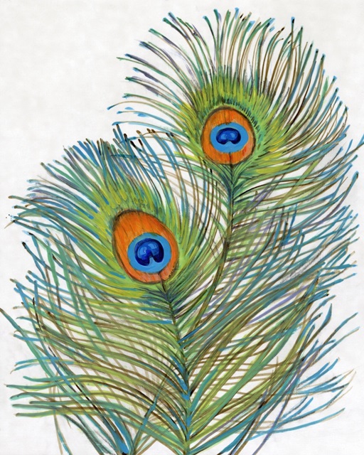 Vivid Peacock Feathers I