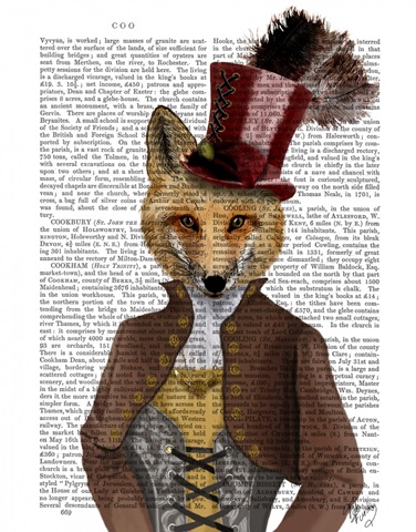 Vivienne Steampunk Fox