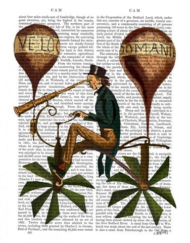 Voyage A La Lune Hot Air Balloon