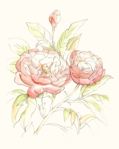 Watercolor Floral Variety II