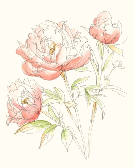 Watercolor Floral Variety III
