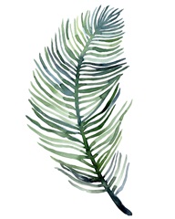 Watercolor Palm Leaves III