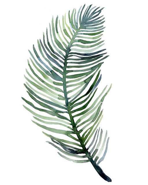 Watercolor Palm Leaves III