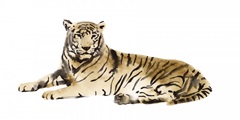 Watercolor Tiger I