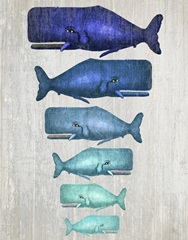Whale Family Blue On White