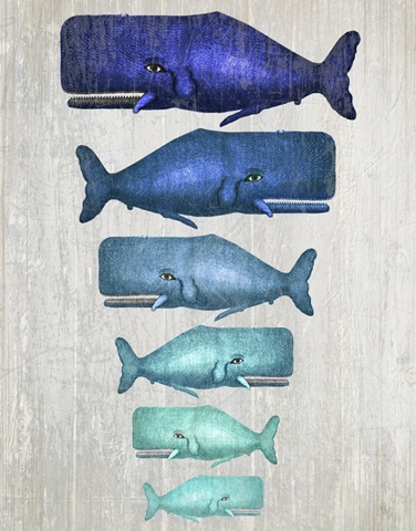 Whale Family Blue On White