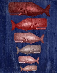 Whale Family Red On Blue