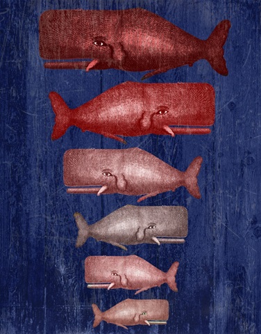 Whale Family Red On Blue