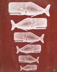 Whale Family White On Red