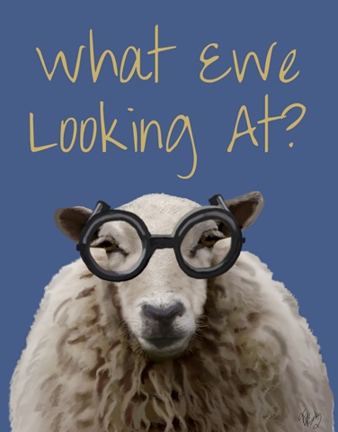 What Ewe Looking At Sheep Print