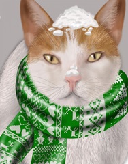 White Cat, Green Scarf