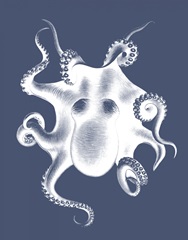 White Octopus on Indigo Blue d