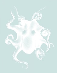 White Octopus on Seafoam d