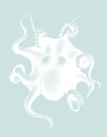 White Octopus on Seafoam d