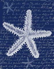White Starfish on Blue b
