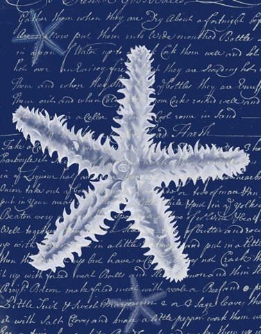 White Starfish on Blue b