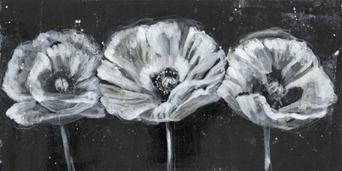 White Trio on Black II