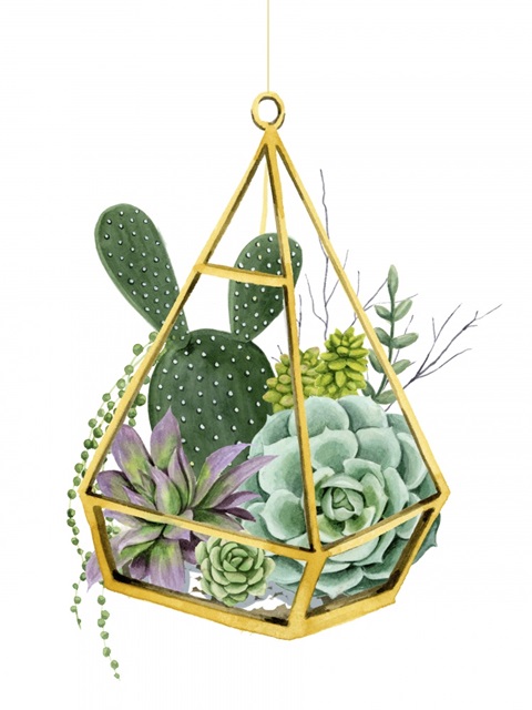 Wild Terrarium I