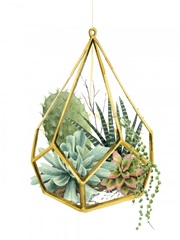 Wild Terrarium II