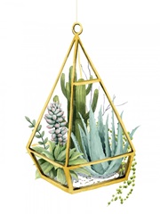 Wild Terrarium III