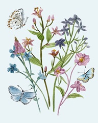 Wildflowers Arrangements I