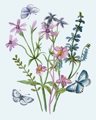 Wildflowers Arrangements IV