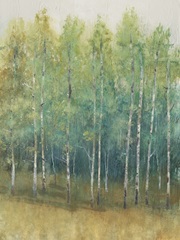 Woodland Edge II