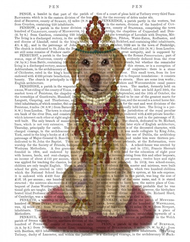 Yellow Labrador and Tiara, Full