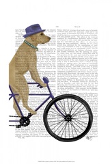 Yellow Labrador on Bicycle