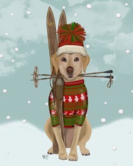 Yellow Labrador, Skiing