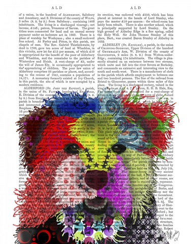 Yorkshire Terrier - Patchwork