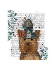 Yorkshire Terrier Milliners Dog