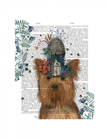Yorkshire Terrier Milliners Dog